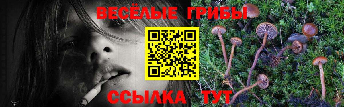 Кувандык  где можно купить   Вход с VPN  Галлюциногенные грибы Cubensis 